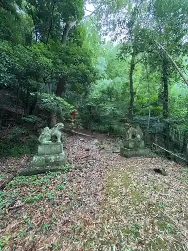 大學稲荷神社の狛犬