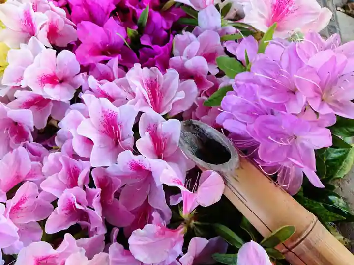 於菊稲荷神社(群馬県)