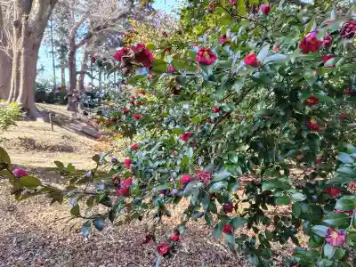 神炊館神社 ⁂奥州須賀川総鎮守⁂(福島県)