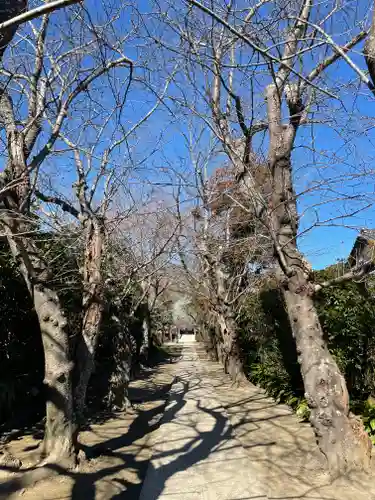 極楽寺（霊鷲山感應院極楽律寺）の景色