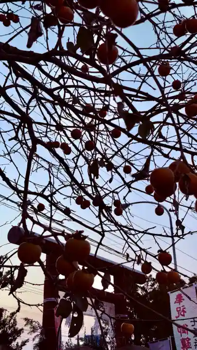 七重浜海津見神社(北海道)