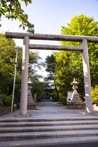 桜神宮の鳥居