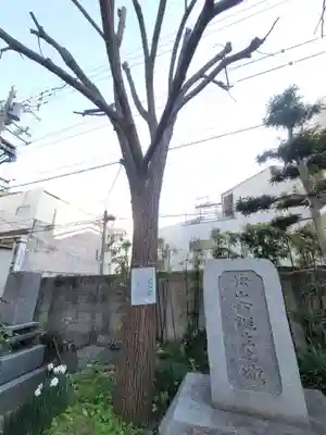 圓光寺(愛媛県)