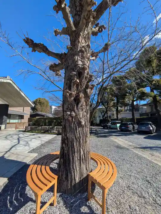 宝仙寺(東京都)