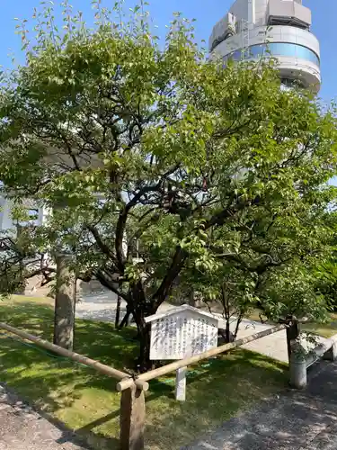 月照寺(兵庫県)