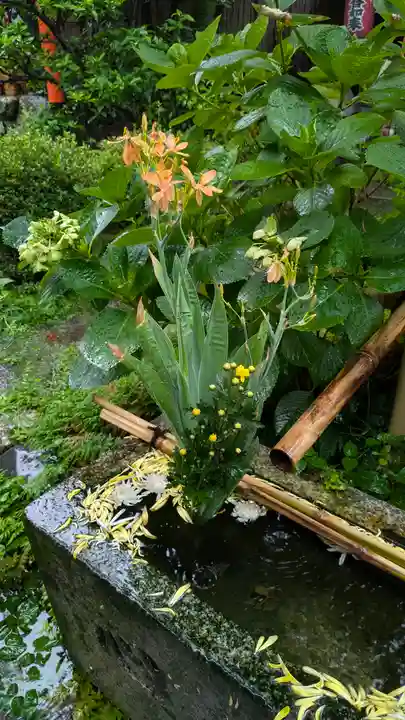 宝蔵寺(京都府)