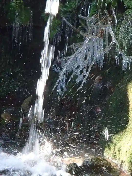 鳩ヶ嶺八幡宮の自然