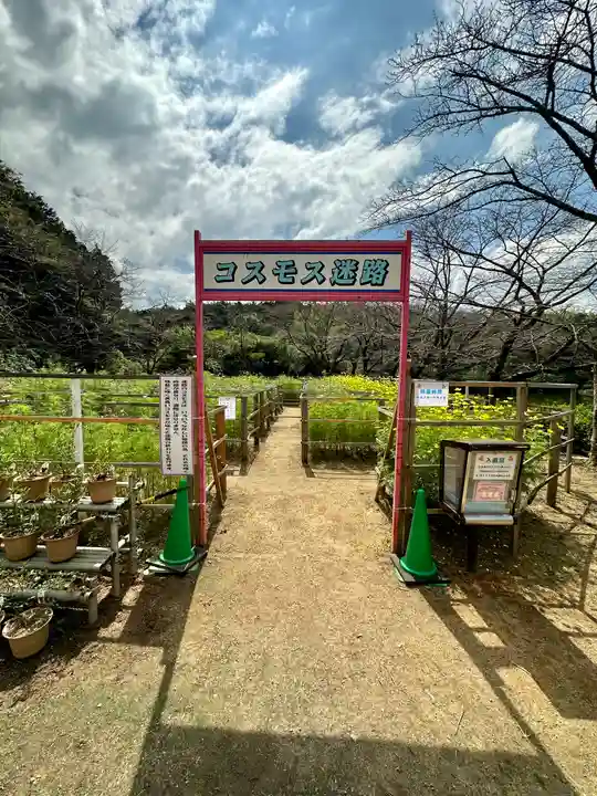 安倍文殊院 (奈良県)