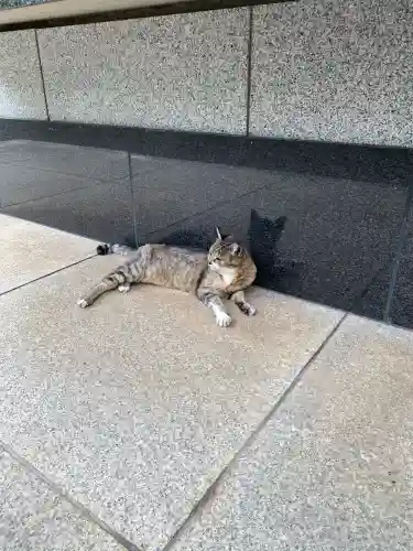 白金氷川神社(東京都)