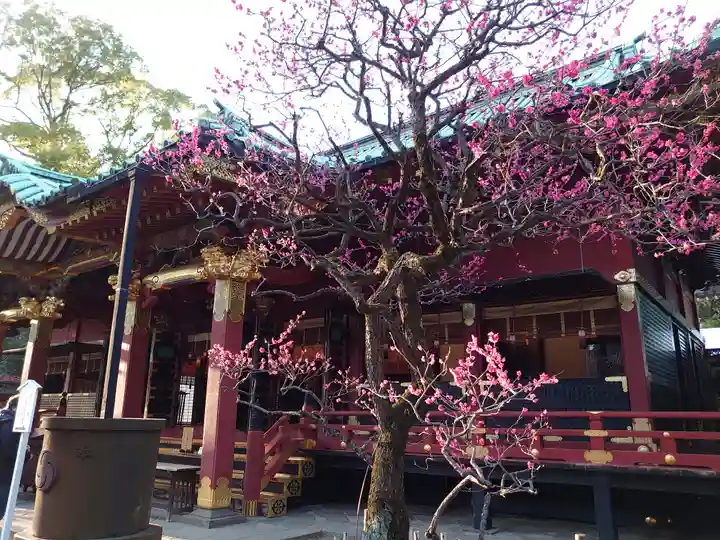 根津神社の本殿・本堂