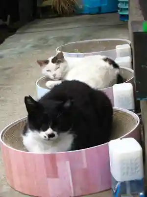 生麦水神宮(神奈川県)