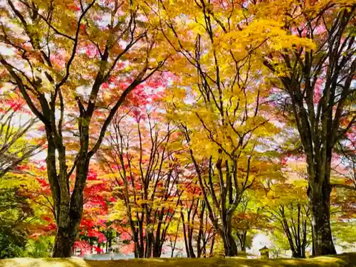 土津神社｜こどもと出世の神さまの景色