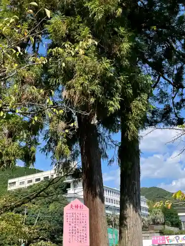與止日女神社の{uncategorized: "未分類", other: "その他", undefined: "問題あり", building: "その他建物", grave: "お墓", sacred_gate: "鳥居", guardian: "狛犬", statue: "像", buddha: "仏像", history: "歴史", nature: "自然", garden: "庭園", animal: "動物", pagoda: "塔", temizu: "手水舎", mountain_gate: "山門・神門", sanctuary: "本殿・本堂", subordinate: "末社・摂社", art: "芸術", scenery: "景色", jizo: "地蔵", ema: "絵馬", goshuin: "御朱印", omikuji: "おみくじ", items: "授与品その他", amulet: "お守り", goshuincho: "御朱印帳", eats: "食事", festival: "お祭り", votive_dance: "神楽", shichigosan: "七五三参", wedding: "結婚式", experience: "体験その他", initially: "初詣", around: "周辺", anti_infection: "感染症対策"}