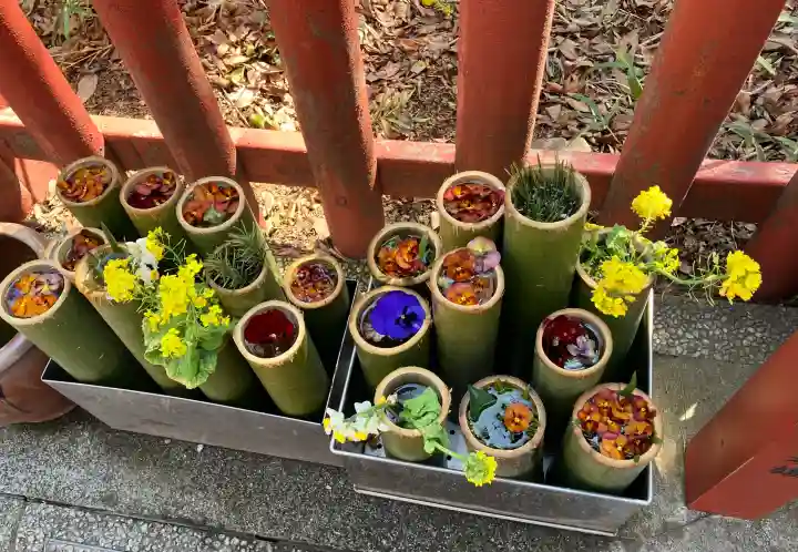 川越八幡宮の{uncategorized: "未分類", other: "その他", undefined: "問題あり", building: "その他建物", grave: "お墓", sacred_gate: "鳥居", guardian: "狛犬", statue: "像", buddha: "仏像", history: "歴史", nature: "自然", garden: "庭園", animal: "動物", pagoda: "塔", temizu: "手水舎", mountain_gate: "山門・神門", sanctuary: "本殿・本堂", subordinate: "末社・摂社", art: "芸術", scenery: "景色", jizo: "地蔵", ema: "絵馬", goshuin: "御朱印", omikuji: "おみくじ", items: "授与品その他", amulet: "お守り", goshuincho: "御朱印帳", eats: "食事", festival: "お祭り", votive_dance: "神楽", shichigosan: "七五三参", wedding: "結婚式", experience: "体験その他", initially: "初詣", around: "周辺", anti_infection: "感染症対策"}