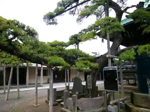 題経寺（柴又帝釈天）(東京都)