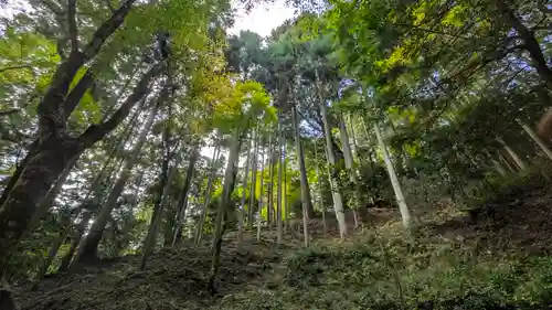神護寺(京都府)