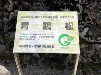 本誓寺(東本誓寺)の歴史