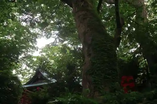 愛宕神社の景色