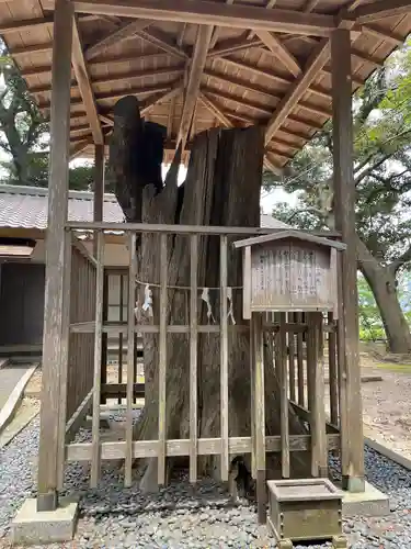 泉神社(茨城県)