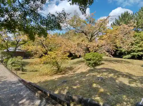 養源院の庭園