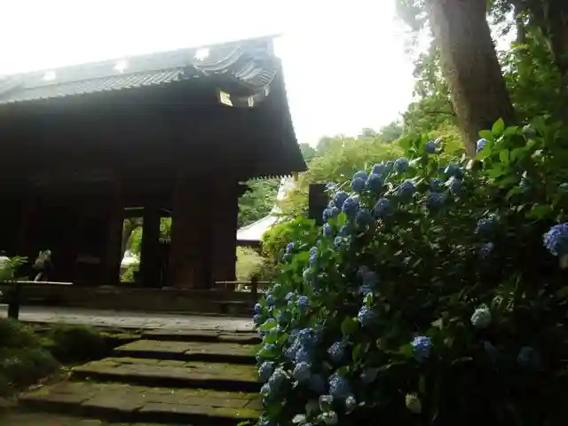 妙本寺の山門・神門