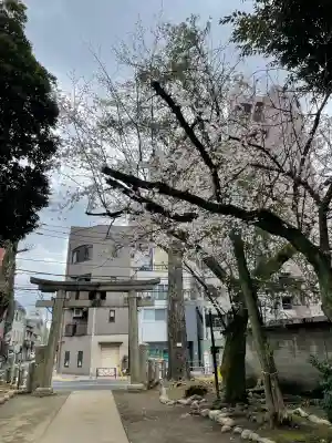 駒込富士神社(東京都)
