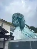 南蔵院の{uncategorized: "未分類", other: "その他", undefined: "問題あり", building: "その他建物", grave: "お墓", sacred_gate: "鳥居", guardian: "狛犬", statue: "像", buddha: "仏像", history: "歴史", nature: "自然", garden: "庭園", animal: "動物", pagoda: "塔", temizu: "手水舎", mountain_gate: "山門・神門", sanctuary: "本殿・本堂", subordinate: "末社・摂社", art: "芸術", scenery: "景色", jizo: "地蔵", ema: "絵馬", goshuin: "御朱印", omikuji: "おみくじ", items: "授与品その他", amulet: "お守り", goshuincho: "御朱印帳", eats: "食事", festival: "お祭り", votive_dance: "神楽", shichigosan: "七五三参", wedding: "結婚式", experience: "体験その他", initially: "初詣", around: "周辺", anti_infection: "感染症対策"}