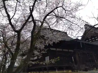 毫攝寺(福井県)