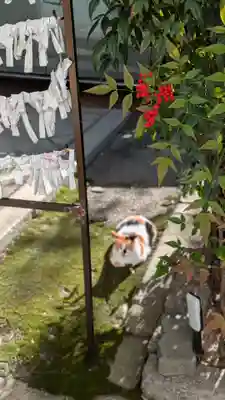 京都大神宮(京都府)