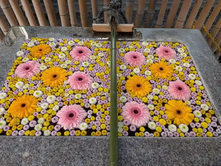 高円寺氷川神社(東京都)