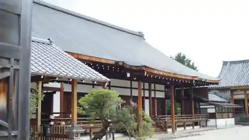 聖護院門跡の本殿・本堂