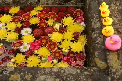 八幡神社の手水舎