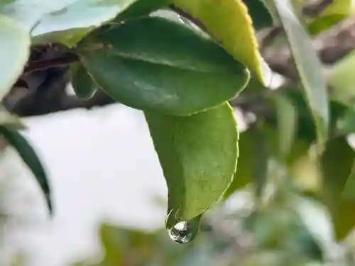 西方山極楽寺(岐阜県)