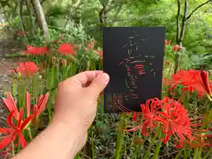 普門寺(切り絵御朱印発祥の寺)の授与品その他(2020年09月24日(木) 19時18分56秒投稿)