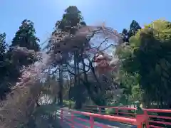 正法寺の建物その他