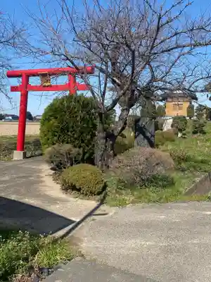 香取神社の自然