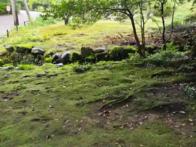 金澤神社(石川県)