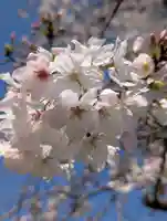 淡島社(神奈川県)