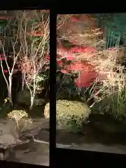 天授庵の庭園