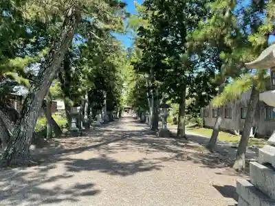 志那神社(滋賀県)