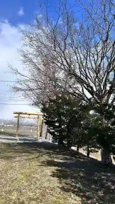 七飯豊田神社(北海道)