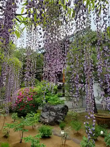愛染院(東京都)