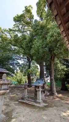 荒見神社(京都府)