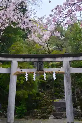 富士山本宮浅間大社(静岡県)