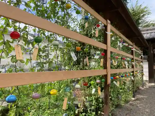 和田神社(滋賀県)