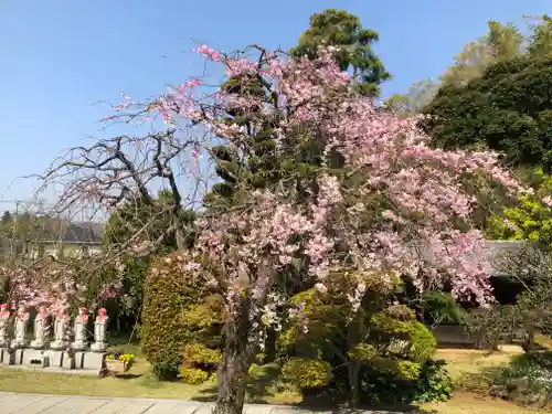 法岩院の庭園