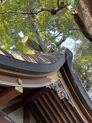 代々木八幡宮の本殿・本堂