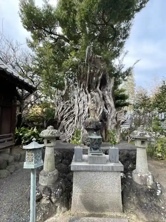瑞雲寺(静岡県)