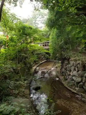 白根神社の周辺