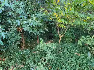 屋敷稲荷のその他建物